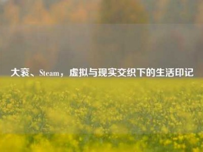 大衮、Steam，虚拟与现实交织下的生活印记