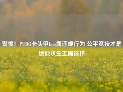 警惕！PUBG卡头甲bug属违规行为 公平竞技才是绝地求生正确选择
