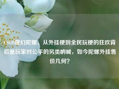 CSGO魔幻陀螺，从外挂梗到全民玩梗的狂欢背后是玩家对公平的另类呐喊，如今陀螺外挂售价几何？