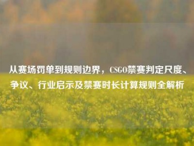 从赛场罚单到规则边界，CSGO禁赛判定尺度、争议、行业启示及禁赛时长计算规则全解析