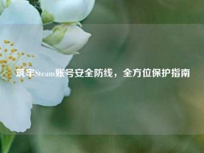 筑牢Steam账号安全防线，全方位保护指南