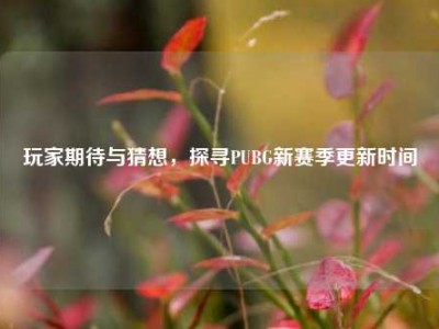 玩家期待与猜想，探寻PUBG新赛季更新时间