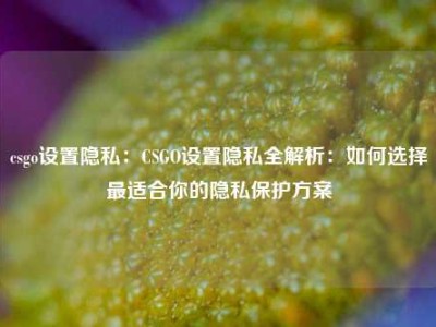 csgo设置隐私：CSGO设置隐私全解析：如何选择最适合你的隐私保护方案