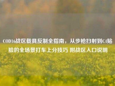 COD16战区载具反制全指南，从步枪扫射到C4贴脸的全场景打车上分技巧 附战区入口说明
