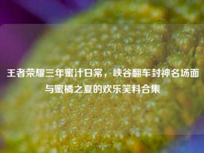 王者荣耀三年蜜汁日常，峡谷翻车封神名场面与蜜橘之夏的欢乐笑料合集
