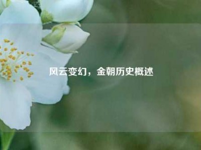 风云变幻，金朝历史概述