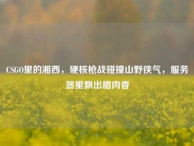 CSGO里的湘西，硬核枪战碰撞山野侠气，服务器里飘出腊肉香