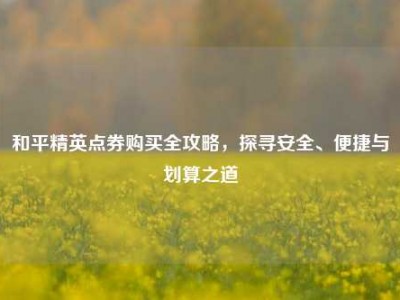 和平精英点券购买全攻略，探寻安全、便捷与划算之道