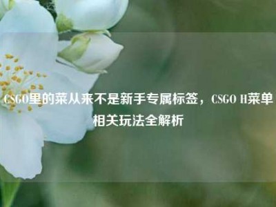 CSGO里的菜从来不是新手专属标签，CSGO H菜单相关玩法全解析
