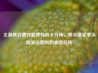 王者峡谷遭对面辱骂的十分钟，我从攥紧拳头到笑出鹅叫的破防反转