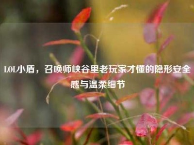 LOL小盾，召唤师峡谷里老玩家才懂的隐形安全感与温柔细节