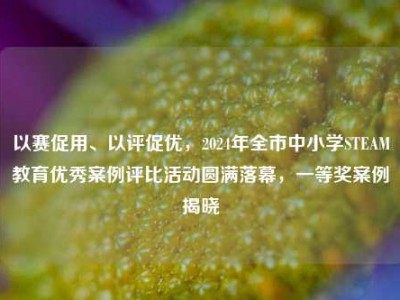 以赛促用、以评促优，2024年全市中小学STEAM教育优秀案例评比活动圆满落幕，一等奖案例揭晓