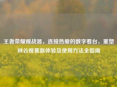 王者荣耀观战器，连接热爱的数字看台，重塑峡谷观赛新体验及使用方法全指南