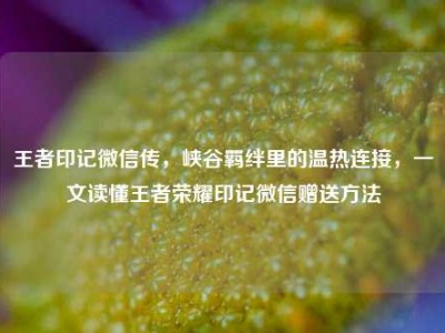 王者印记微信传，峡谷羁绊里的温热连接，一文读懂王者荣耀印记微信赠送方法
