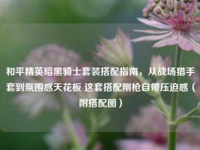 和平精英暗黑骑士套装搭配指南，从战场猎手套到氛围感天花板 这套搭配刚枪自带压迫感（附搭配图）