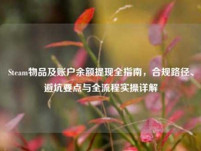 Steam物品及账户余额提现全指南，合规路径、避坑要点与全流程实操详解