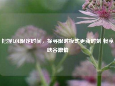 把握LOL限定时间，探寻限时模式更新时刻 畅享峡谷激情