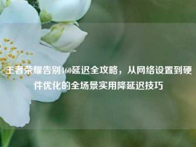 王者荣耀告别460延迟全攻略，从网络设置到硬件优化的全场景实用降延迟技巧