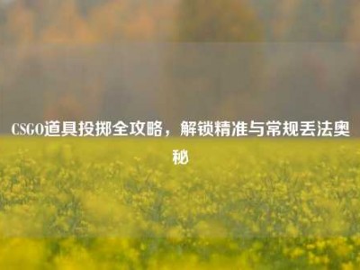 CSGO道具投掷全攻略，解锁精准与常规丢法奥秘