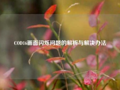 COD16画面闪烁问题的解析与解决办法