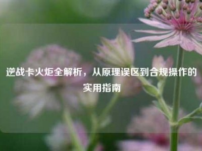 逆战卡火炬全解析，从原理误区到合规操作的实用指南