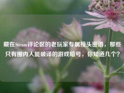 藏在Steam评论区的老玩家专属接头密语，那些只有圈内人能破译的游戏暗号，你知道几个？