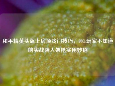 和平精英头盔上房顶冷门技巧，90%玩家不知道的实战阴人架枪实用妙招