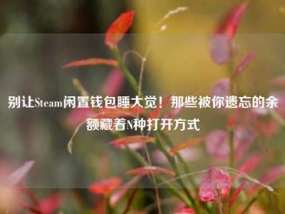 别让Steam闲置钱包睡大觉！那些被你遗忘的余额藏着N种打开方式