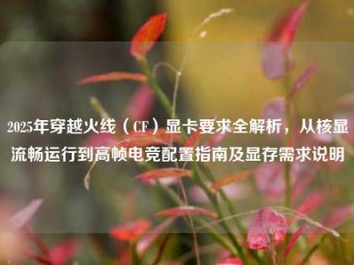 2025年穿越火线（CF）显卡要求全解析，从核显流畅运行到高帧电竞配置指南及显存需求说明