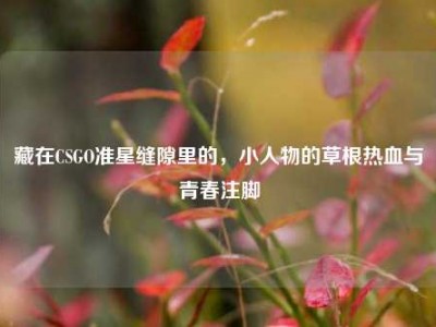 藏在CSGO准星缝隙里的，小人物的草根热血与青春注脚