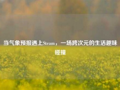 当气象预报遇上Steam，一场跨次元的生活趣味碰撞