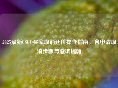 2025最新CSGO买家取消还价操作指南，含申请取消步骤与避坑提醒