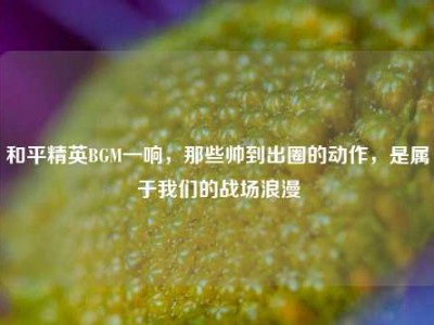 和平精英BGM一响，那些帅到出圈的动作，是属于我们的战场浪漫