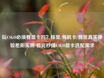 玩CSGO必须要显卡吗？核显/亮机卡/独显真实体验差距实测 看完秒懂CSGO显卡选配需求