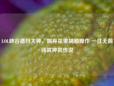 LOL峡谷德玛大神，摒弃花里胡哨操作 一往无前铸就神装传说