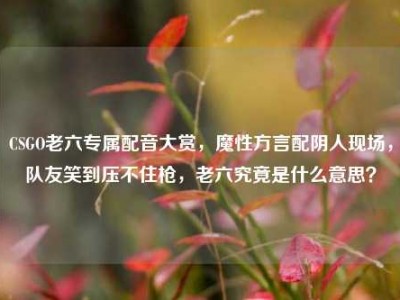 CSGO老六专属配音大赏，魔性方言配阴人现场，队友笑到压不住枪，老六究竟是什么意思？