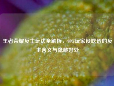 王者荣耀反主玩法全解析，90%玩家没吃透的反主含义与隐藏好处