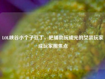 LOL峡谷小个子豆丁，把辅助玩成光的女装玩家成玩家圈焦点