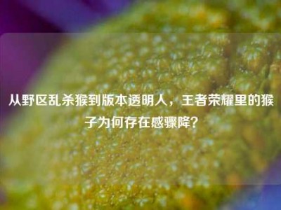 从野区乱杀猴到版本透明人，王者荣耀里的猴子为何存在感骤降？