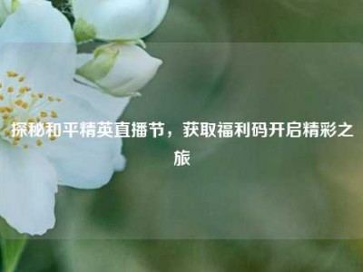 探秘和平精英直播节，获取福利码开启精彩之旅