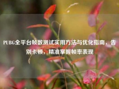 PUBG全平台帧数测试实用方法与优化指南，告别卡顿，精准掌握帧率表现