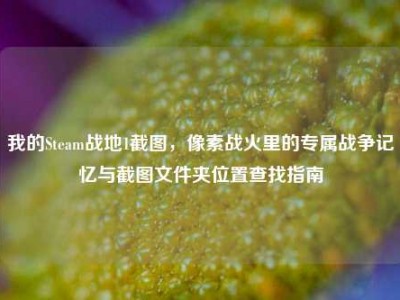 我的Steam战地1截图，像素战火里的专属战争记忆与截图文件夹位置查找指南