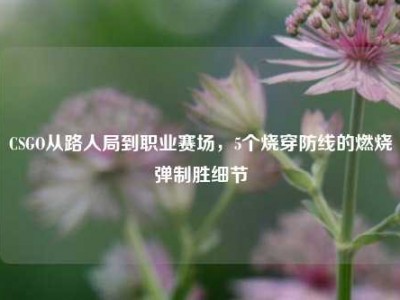 CSGO从路人局到职业赛场，5个烧穿防线的燃烧弹制胜细节