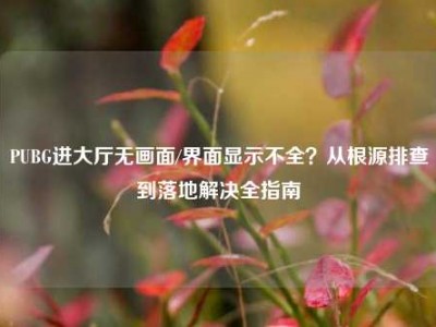 PUBG进大厅无画面/界面显示不全？从根源排查到落地解决全指南