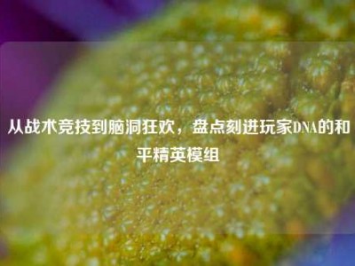 从战术竞技到脑洞狂欢，盘点刻进玩家DNA的和平精英模组