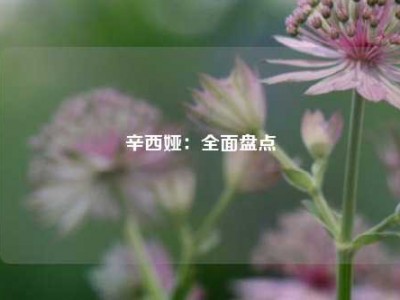 辛西娅：全面盘点