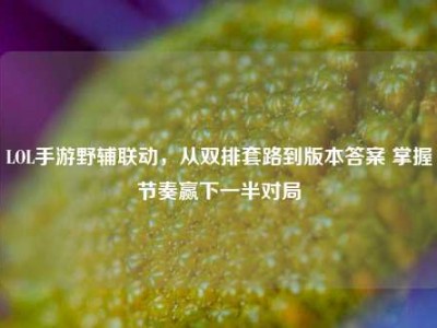 LOL手游野辅联动，从双排套路到版本答案 掌握节奏赢下一半对局