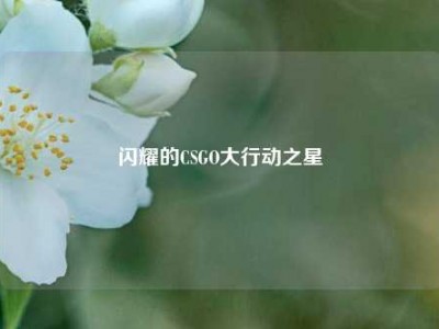 闪耀的CSGO大行动之星