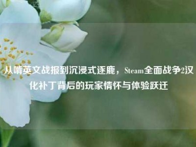 从啃英文战报到沉浸式逐鹿，Steam全面战争2汉化补丁背后的玩家情怀与体验跃迁