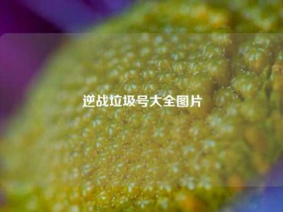 逆战垃圾号大全图片